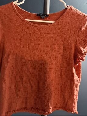 American Eagle Outfitters Burnt Orange Textured Short Sleeve Crop Too